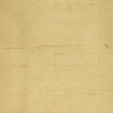 COM-1255 Cashew